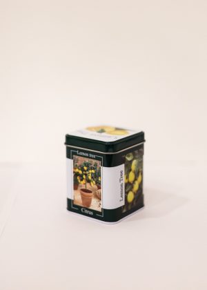 Pianta di Limone